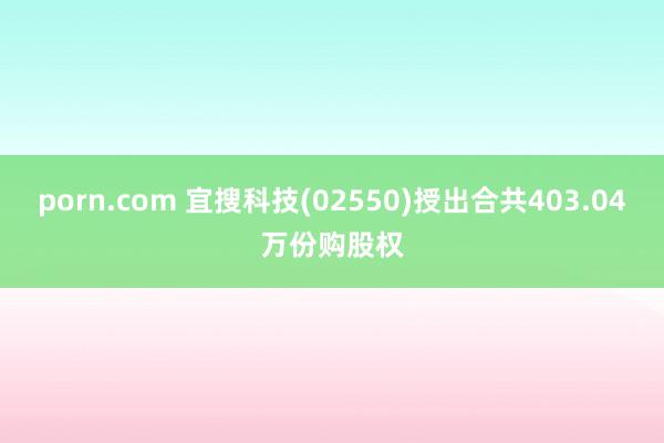 porn.com 宜搜科技(02550)授出合共403.04万份购股权