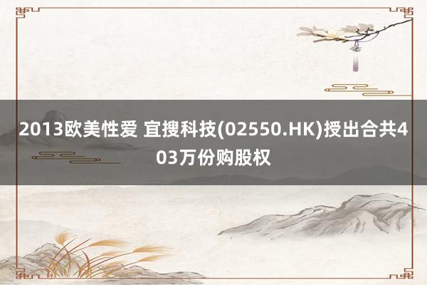 2013欧美性爱 宜搜科技(02550.HK)授出合共403万份购股权