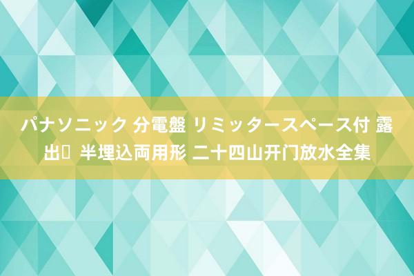 パナソニック 分電盤 リミッタースペース付 露出・半埋込両用形 二十四山开门放水全集
