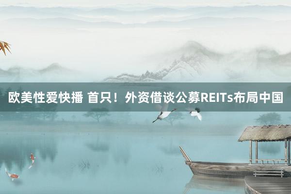 欧美性爱快播 首只！外资借谈公募REITs布局中国