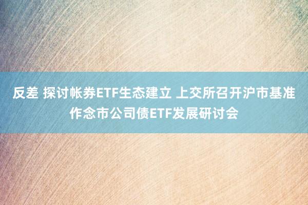 反差 探讨帐券ETF生态建立 上交所召开沪市基准作念市公司债ETF发展研讨会