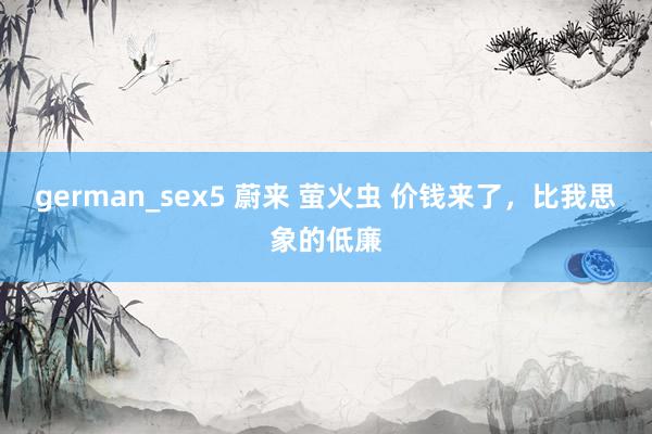 german_sex5 蔚来 萤火虫 价钱来了，比我思象的低廉
