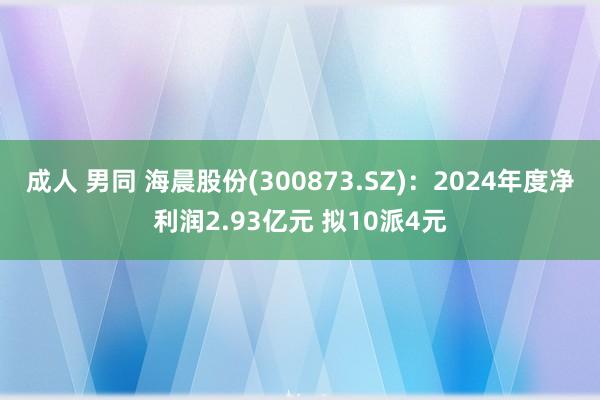成人 男同 海晨股份(300873.SZ)：2024年度净利润2.93亿元 拟10派4元