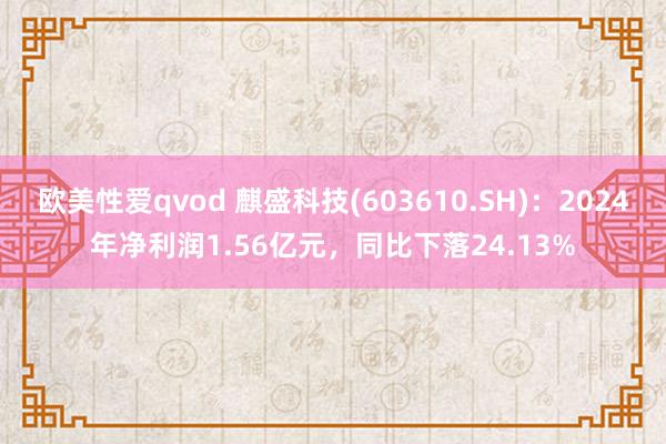 欧美性爱qvod 麒盛科技(603610.SH)：2024年净利润1.56亿元，同比下落24.13%