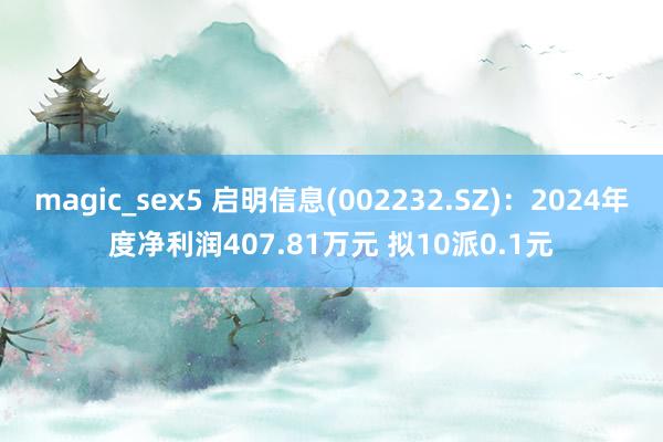 magic_sex5 启明信息(002232.SZ)：2024年度净利润407.81万元 拟10派0.1元