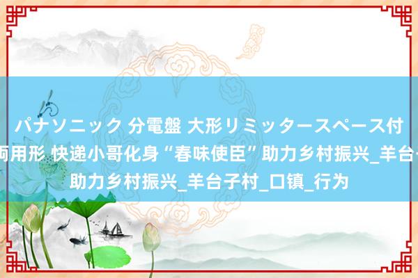 パナソニック 分電盤 大形リミッタースペース付 露出・半埋込両用形 快递小哥化身“春味使臣”助力乡村振兴_羊台子村_口镇_行为