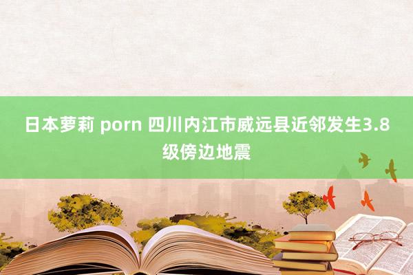 日本萝莉 porn 四川内江市威远县近邻发生3.8级傍边地震