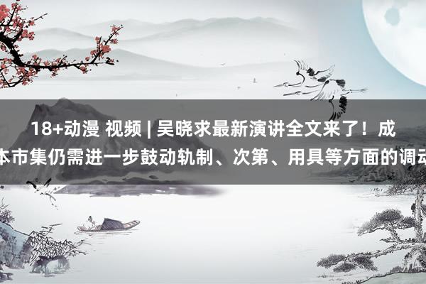 18+动漫 视频 | 吴晓求最新演讲全文来了！成本市集仍需进一步鼓动轨制、次第、用具等方面的调动