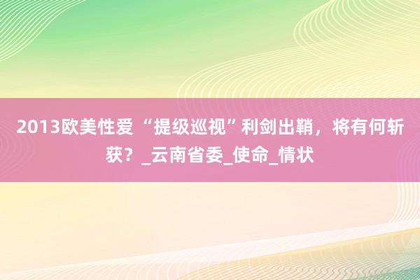 2013欧美性爱 “提级巡视”利剑出鞘，将有何斩获？_云南省委_使命_情状
