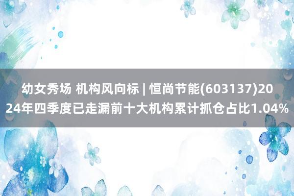 幼女秀场 机构风向标 | 恒尚节能(603137)2024年四季度已走漏前十大机构累计抓仓占比1.04%