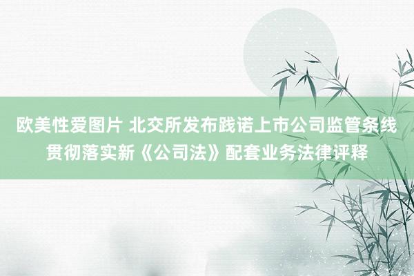 欧美性爱图片 北交所发布践诺上市公司监管条线贯彻落实新《公司法》配套业务法律评释